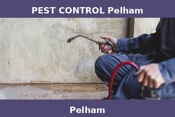PEST CONTROL Pelham